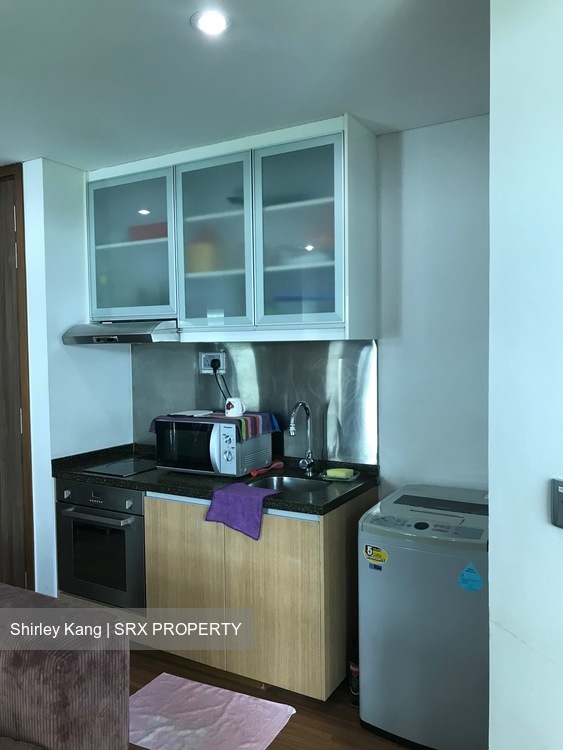 Farrer Park Suites (D8), Apartment #216251741